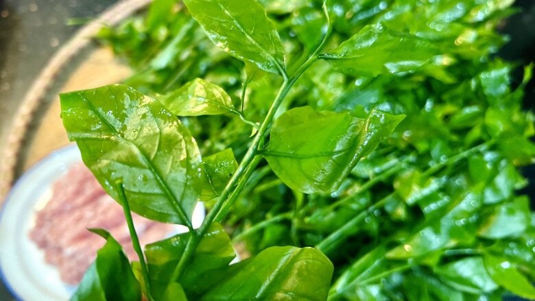 Cây dại mọc bờ bụi xưa dành cho amp;#34;người nghèoamp;#34;, nay thành đặc sản người thành phố ưa chuộng vì hương vị lạ, 200.000 đồng/kg - 2