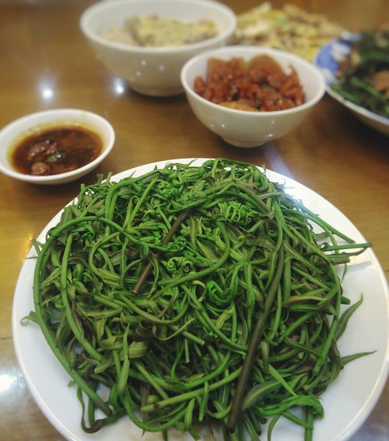 Cây dại leo bờ rào xưa không ai ăn, nay thành đặc sản có hương vị lạ được người thành phố ưa chuộng, 70.000 đồng/kg - 3
