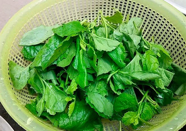 Cây dại ở bờ ao nghe tên lạnh gáy, được ví như amp;#34;lộc trờiamp;#34;, nay thành đặc sản nổi tiếng có tiền cũng khó mua được - 3