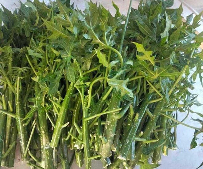 Cây mọc hàng rào xưa không ai ăn, nay thành đặc sản có hương vị lạ được người thành phố ưa chuộng, 80.000 đồng/kg - 1