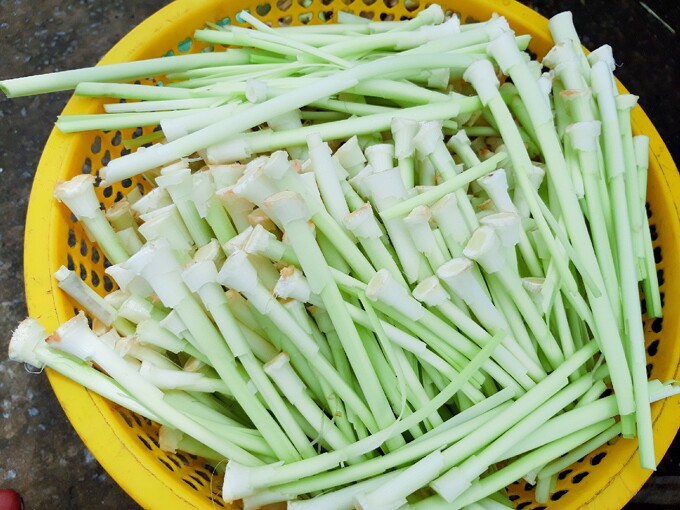 Cây nhìn như cỏ dại dưới bùn đất được ví như amp;#34;lộc trờiamp;#34;, xưa không ai ngó ngàng nay thành đặc sản nổi tiếng, 100.000 đồng/kg - 3