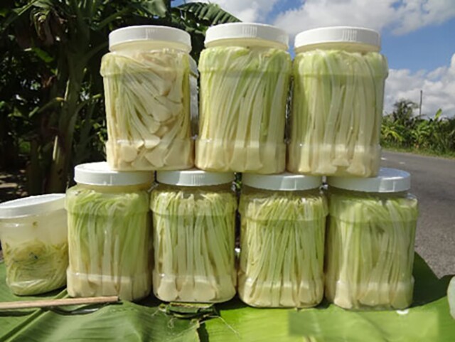 Cây nhìn như cỏ dại dưới bùn đất được ví như amp;#34;lộc trờiamp;#34;, xưa không ai ngó ngàng nay thành đặc sản nổi tiếng, 100.000 đồng/kg - 5