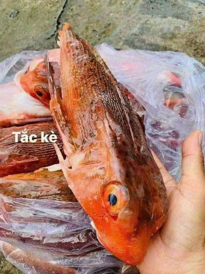 Đặc sản có tên amp;#34;độc nhất vô nhịamp;#34;, xưa không ai ngó ngàng nay được ưa chuộng vì hương vị lạ, 200.000 đồng/kg - 2