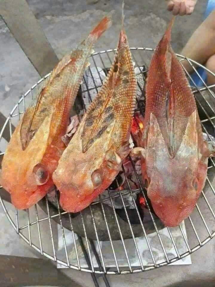 Đặc sản có tên amp;#34;độc nhất vô nhịamp;#34;, xưa không ai ngó ngàng nay được ưa chuộng vì hương vị lạ, 200.000 đồng/kg - 3