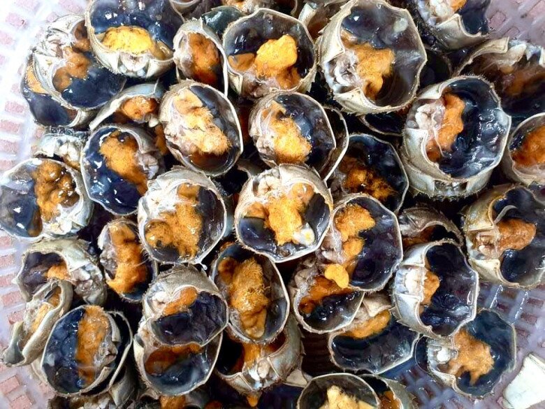 Loài cua này có giá lên tới 600.000 đồng/kg