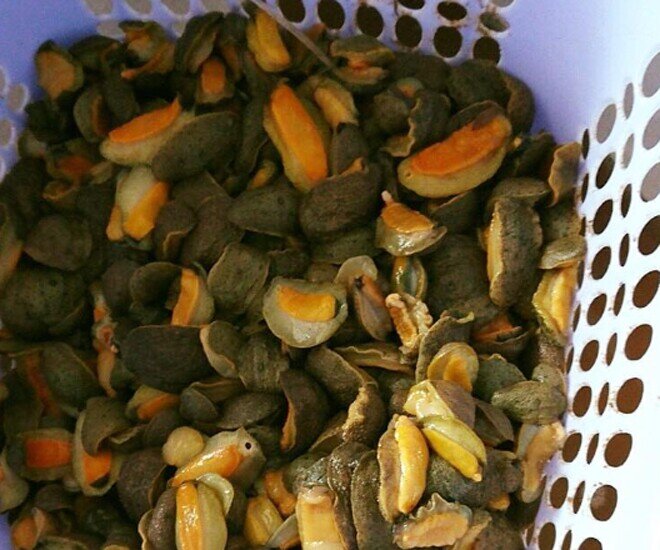 Đặc sản độc nhất vô nhị ở Thanh Hóa nghe tên dữ dằn, nay thành món ăn ngon được người thành phố ưa chuộng, 160.000 đồng/kg - 1