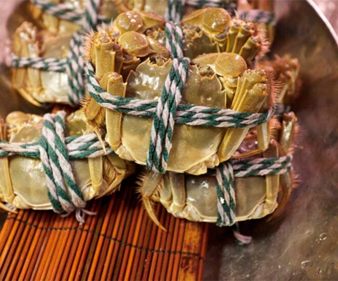 Đặc sản ở Hải Phòng ngon hơn ghẹ khó mua hơn cua biển, nay dân thành phố ưa chuộng, 250.000 đồng/kg - 1