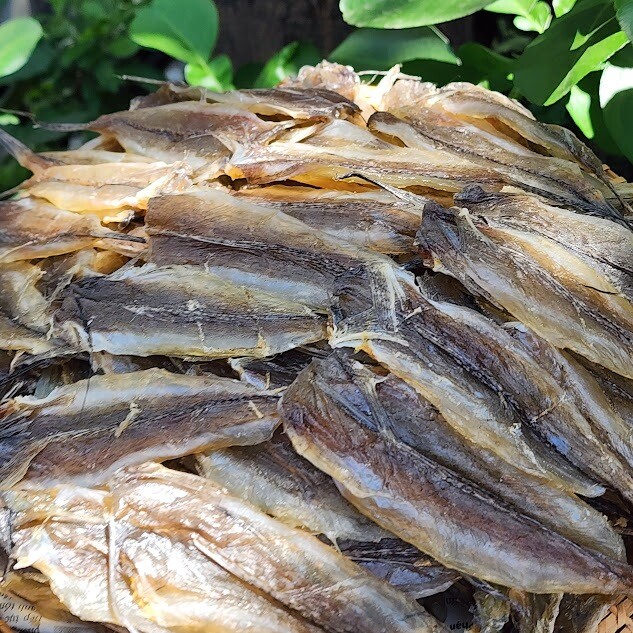 Khô cá chai có giá tới 600.000 đồng/kg, đắt khách vào các dịp lễ Tết
