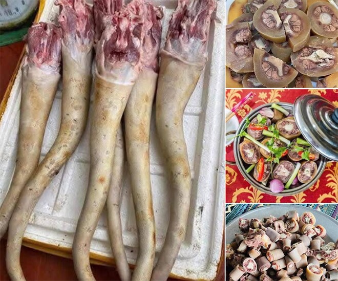 Đặc sản xưa không ai ăn, nay dân thành phố ưa chuộng giá 200.000 đồng/kg, làm nhiều món ngon có hương vị lạ - 1