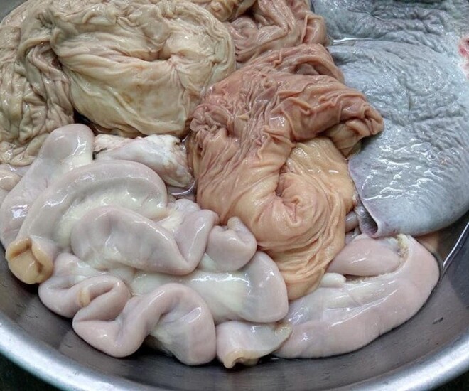 Lòng bò là tên gọi chung cho các bộ phận nằm trong hệ tiêu hóa của con bò
