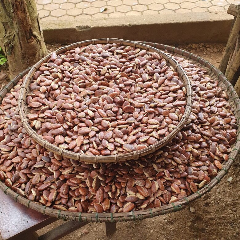 Hạt này được ví như amp;#34;lộc trờiamp;#34;, giá chỉ từ 100.000 đồng/kg nhưng cực giàu sắt và canxi, nhiều mẹ bầu bỏ qua quá phí - 3