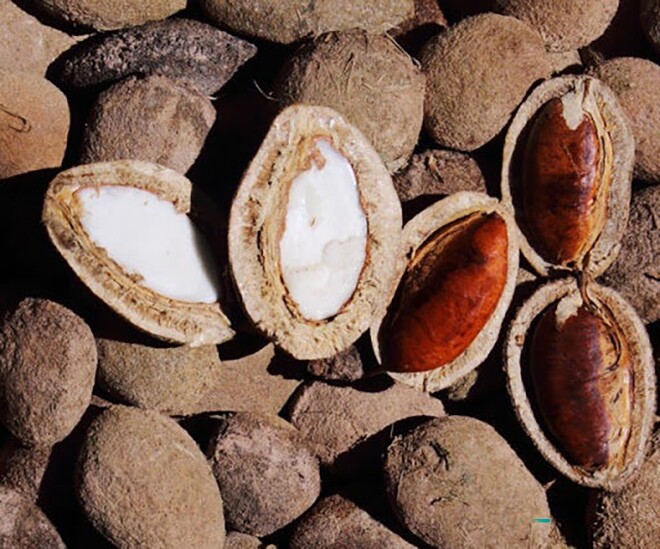 Hạt này được ví như amp;#34;lộc trờiamp;#34;, giá chỉ từ 100.000 đồng/kg nhưng cực giàu sắt và canxi, nhiều mẹ bầu bỏ qua quá phí - 1