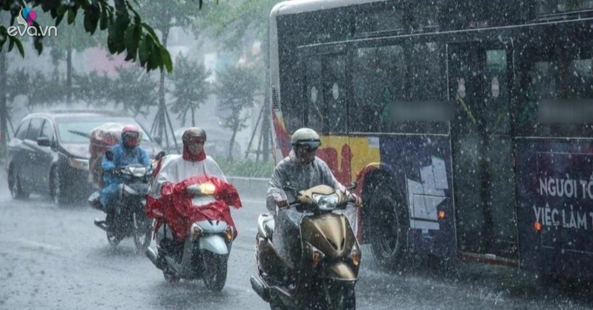 Cảnh Báo Thời Tiết: Miền Bắc 'Dính' Mưa Bão, Nguy Cơ Ngập Lụt Cao!