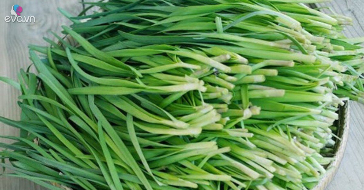 Loại lá được mệnh danh "vua bổ thận", có đầy ở quê nay làm thành món đặc sản được ưa chuộng, rẻ tiền nhưng tốt cho sức khỏe
