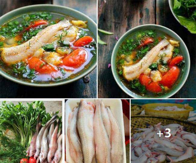 Loài cá mang tên một món ăn, xưa cho lợn gà ăn nay thành đặc sản nổi tiếng giá đắt đỏ, tốt cho sức khoẻ - 2