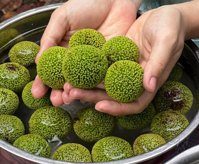 Cá kho gáo là món ăn được nhiều người yêu thích
