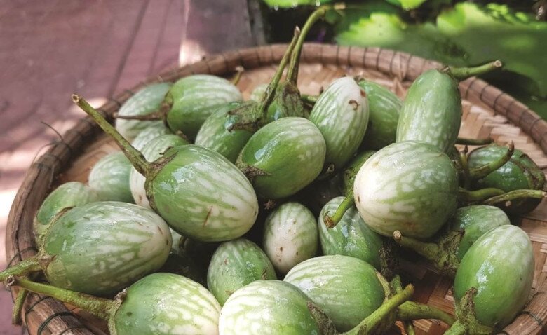 Loại quả mọc dại xưa chín rụng đầy gốc, nay dân hái bán 120.000 đồng/kg thành đặc sản mùa hè, dân thành phố thích mê - 4
