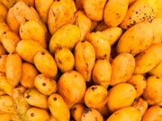 Sức khỏe - Loại quả xưa rụng đầy không ai ngó ngàng, nay thành đặc sản có hương vị đặc biệt, tốt cho sức khoẻ