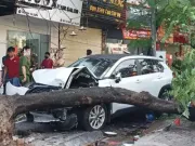 Tin tức - Hà Nội: Ô tô đâm liên hoàn nhiều xe máy trên phố Trần Đại Nghĩa