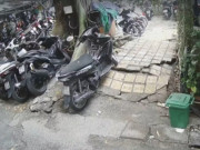 Tin tức - Cây cao 20 m bật rễ, chực đổ vào nhà dân ở TP HCM