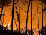 Tin tức - Cháy rừng trong đêm, huy động hàng trăm người dập lửa