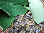 Tiêu dùng - Đặc sản nghe tên nhiều người khóc thét, xưa không ai dám ăn nay thành món ngon người thành phố ưa chuộng, 70.000 đồng/kg