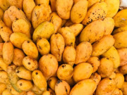 Loại quả xưa chín rụng đầy không ai ngó ngàng, nay thành đặc sản người thành phố ưa chuộng vì có hương vị lạ, 65.000 đồng/kg