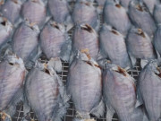 Đặc sản có tên vô cùng lạ, xưa dành cho "người nghèo" nay phơi khô bán 400.000 đồng/kg, dân thành phố ưa chuộng