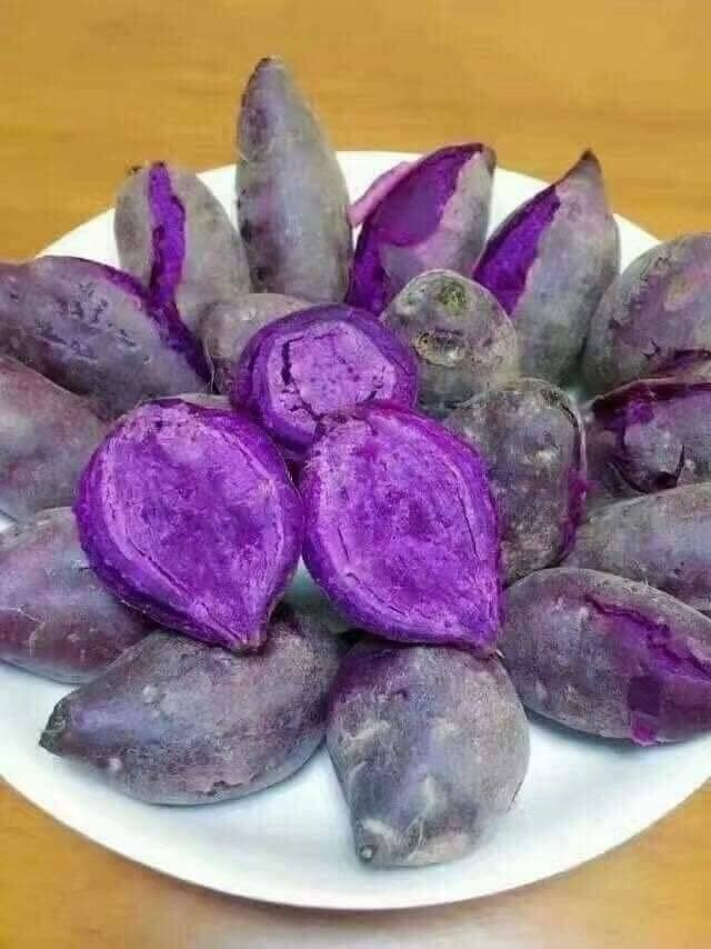 Món xưa người nghèo ăn đến chán ngán, nay thành đặc sản làm đủ món ngon được ưa chuộng ở thành phố, tốt cho sức khỏe - 4