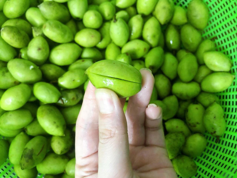 Món xưa nhà nghèo ăn đến chán ngán, nay thành đặc sản được người thành phố ưa chuộng vì có hương vị lạ, tốt cho sức khỏe - 3