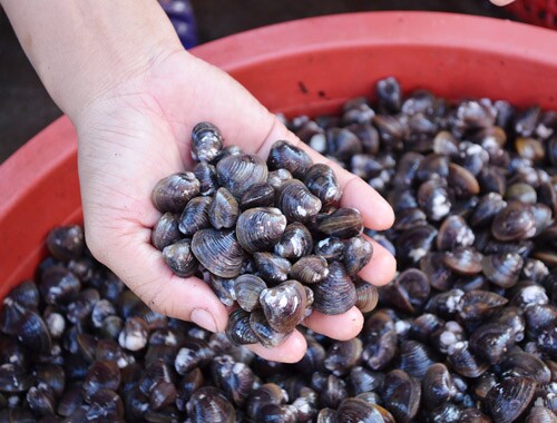 Món xưa nhà nghèo ăn đến chán ngán, nay thành đặc sản ở thành phố được ưa chuộng, tốt cho sức khỏe - 3