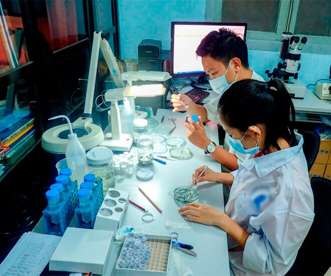 Ngành học ở Việt Nam dễ xin việc, ra trường amp;#34;hái ra tiềnamp;#34;, thị trường luôn khát nhân lực trong những năm tới - 1