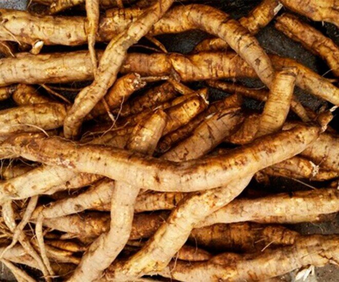 Thứ xưa dành cho amp;#34;người nghèoamp;#34;, nay thành đặc sản nổi tiếng được người thành phố ưa chuộng, tốt cho sức khoẻ - 1