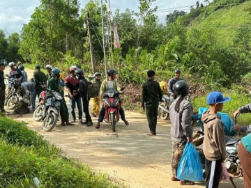 Cả ngàn người ở Đà Nẵng vào rừng nhặt thứ hạt rơi từ trên trời xuống, thu tiền triệu