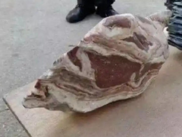 Lên núi hái măng nhặt được "miếng thịt ba chỉ" khổng lồ, người đàn ông choáng váng khi nghe chuyên gia thẩm định