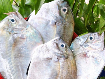 Loài cá mang tên vô cùng đặc biệt, xưa không ai ngó ngàng nay thành đặc sản nổi tiếng được ưa chuộng, 200.000 đồng/kg