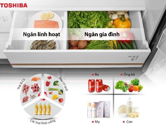Tủ lạnh chuẩn Nhật Toshiba NaturePURE 711L chăm sóc gia đình Việt