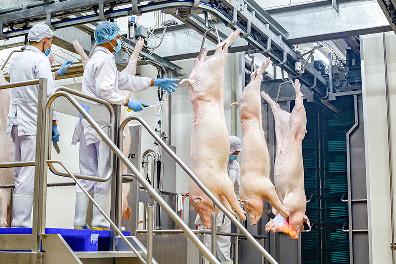 Nhân viên kiểm tra tại nhà máy chế biến thịt ủ mát MEATDeli