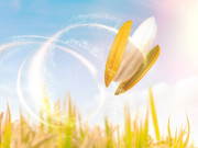 Sức khỏe - Lợi thế giúp người Việt dễ tiếp cận “món quà” cho tim mạch