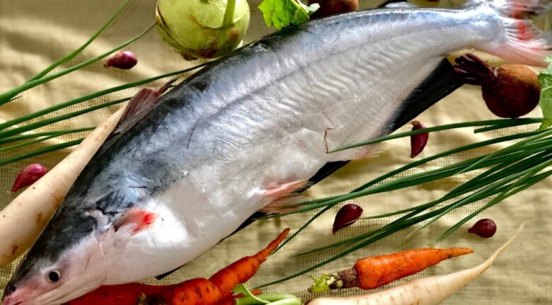 Image of a unique-smelling fish