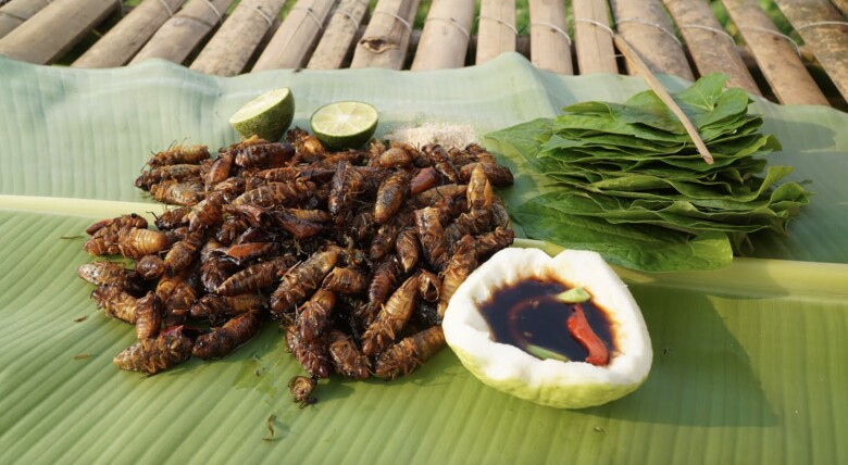 Vị béo ngậy, giòn rụm của ve sầu chiên giòn hòa quyện không chỉ kích thích vị giác mà còn khiến nhiều thực khách bất ngờ vì độ ngon “vượt xa tưởng tượng”.