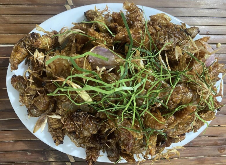 Ve sầu được chế biến thành nhiều món ăn, trong đó ngon nhất là ve sầu chiên giòn. 