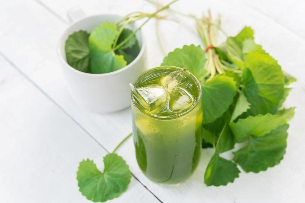 Rau má có thể làm đẹp da qua nhiều cách: uống nước ép để thanh nhiệt, giải độc; dùng làm xịt khoáng giúp làm dịu, cấp ẩm tức thì; đắp mặt nạ kết hợp sữa chua hoặc mật ong để giảm viêm, sáng da. Đây là phương pháp tự nhiên, hiệu quả và tiết kiệm.