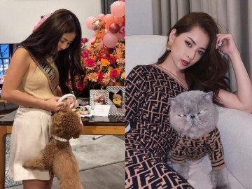 Tiêu tiền không tiếc tay cho thú cưng: Người bỏ 50 triệu đồng tổ chức sinh nhật, người cho bay hạng thương gia, mặc toàn đồ hiệu đắt đỏ