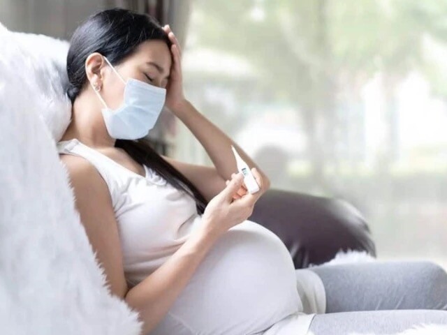 Người phụ nữ mang thai 29 tuần mắc sốt xuất huyết, bác sĩ cảnh báo một điều khiến bệnh trở nặng nhanh