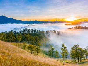Tỉnh nào rộng nhất Việt Nam, nơi vua Bảo Đại và Nam Phương hoàng hậu chọn để xây nhiều dinh thự đế vương?