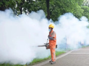Sức khỏe - Nguy cơ bệnh Chikungunya vào nước ta là rất cao: Làm sao để phòng tránh, ai dễ bị biến chứng nặng?
