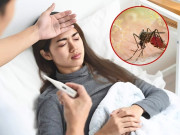 Sức khỏe - Bệnh Chikungunya từng lưu hành ở Việt Nam: Bệnh có nguy hiểm như sốt xuất huyết, có nên ồ ạt đi xét nghiệm và tiêm vắc xin?