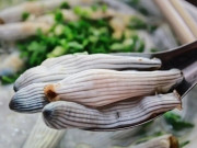 Sức khỏe - 11 loại hải sản được xem ngon nhất Việt Nam, chứa nhiều canxi và Omega-3, đi chợ thấy là phải mua ngay về dùng