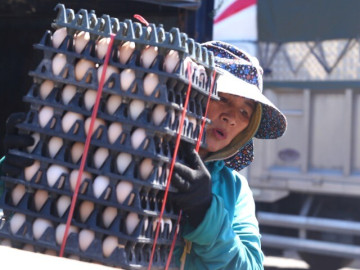 Kiệt sức vì mưu sinh dưới trời nắng nóng đỉnh điểm